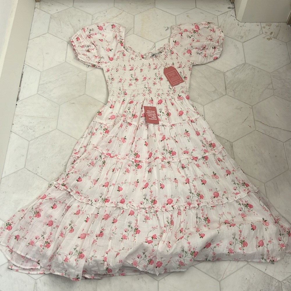 NWT Ivy City Co Tea Party Dress
